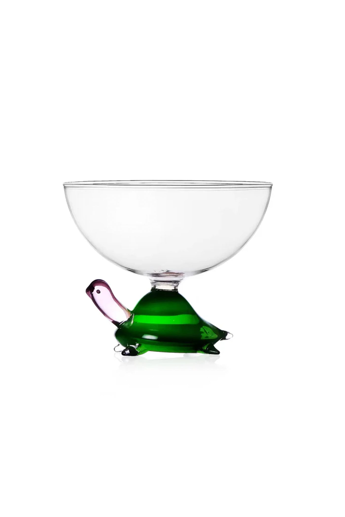 Bowl Green Turtle