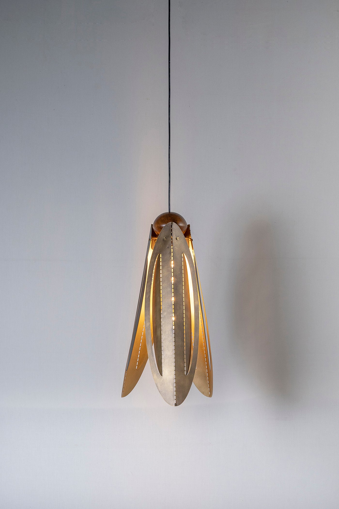Beetle pendant light