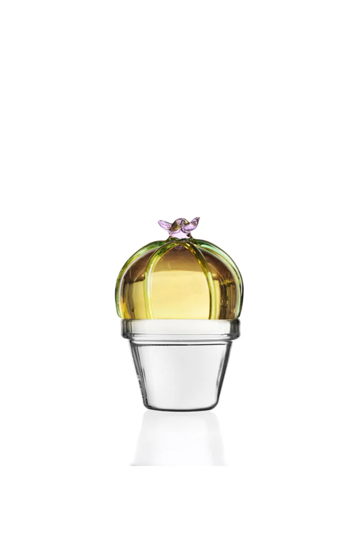 Paperweight Cactus Pink Flower