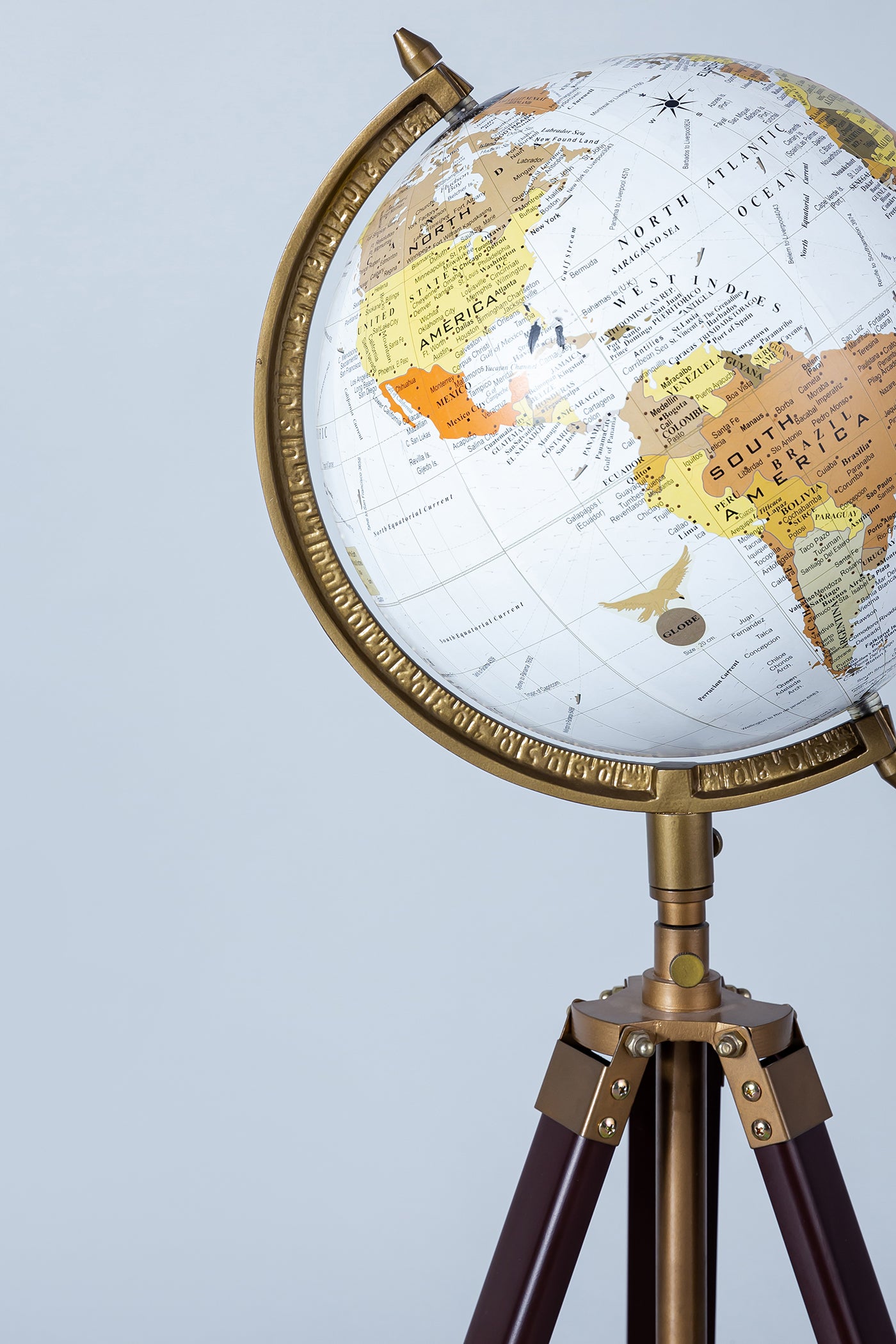 Globe Medium