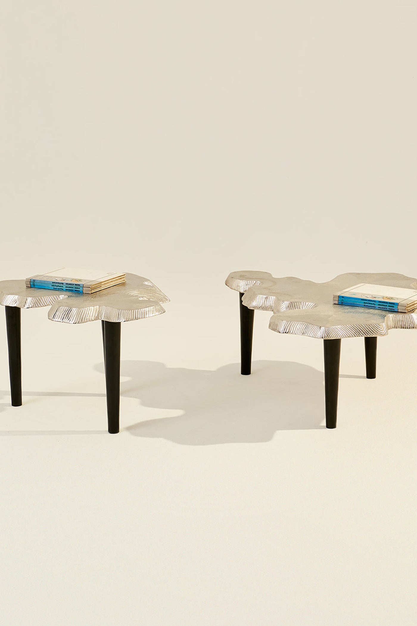 Amorphous Coffee Table - Set of 2