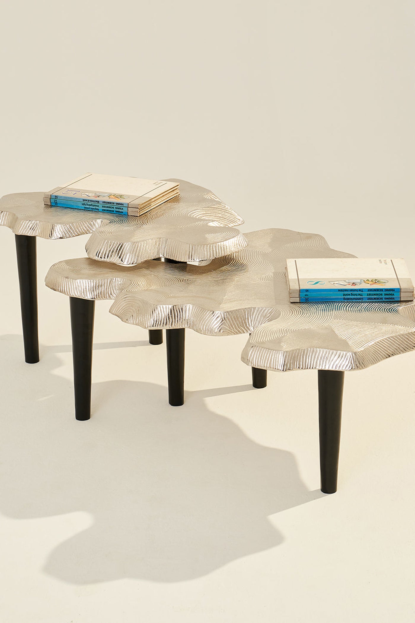 Amorphous Coffee Table - Set of 2