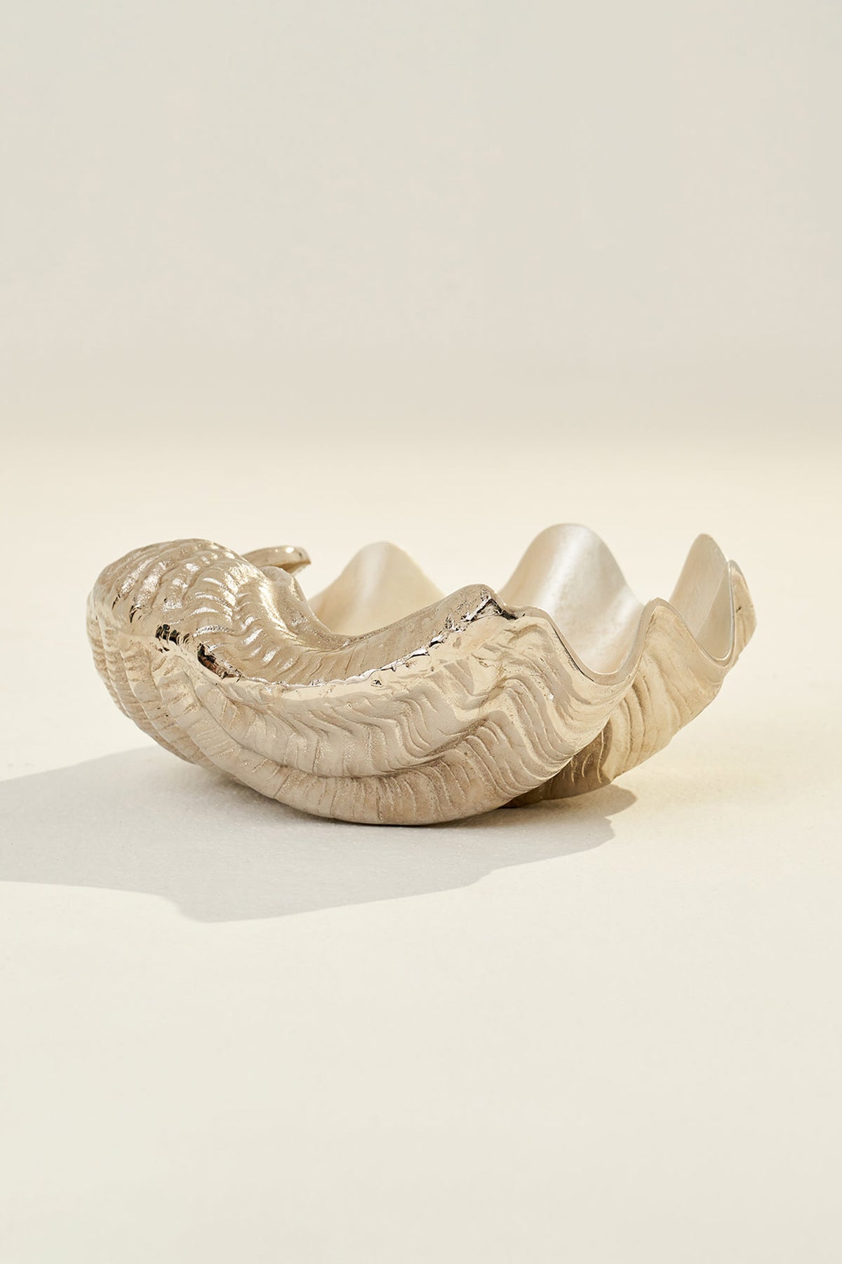 Seashell Casted Aluminium Cream & silver Decor