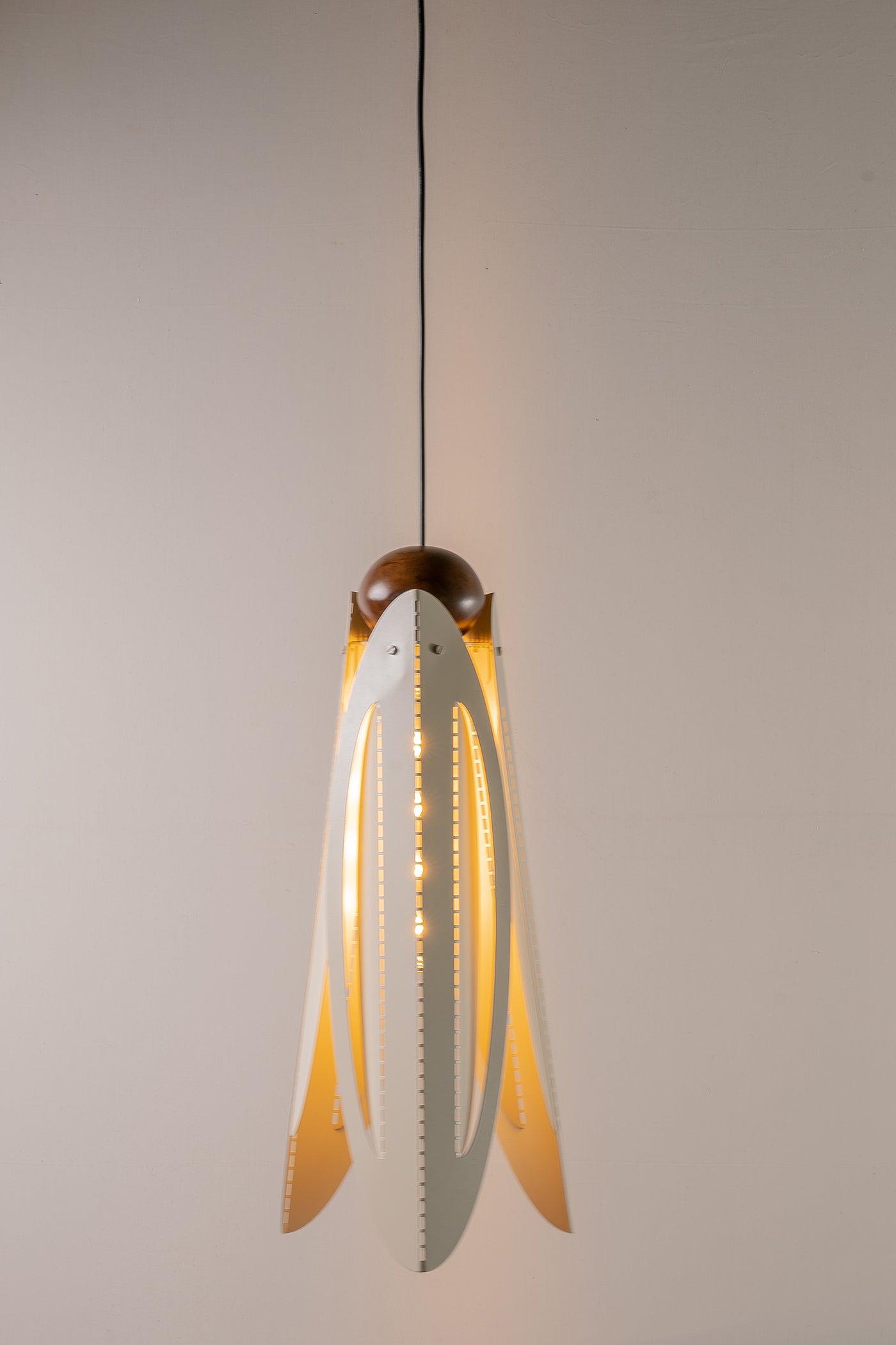 Beetle pendant light