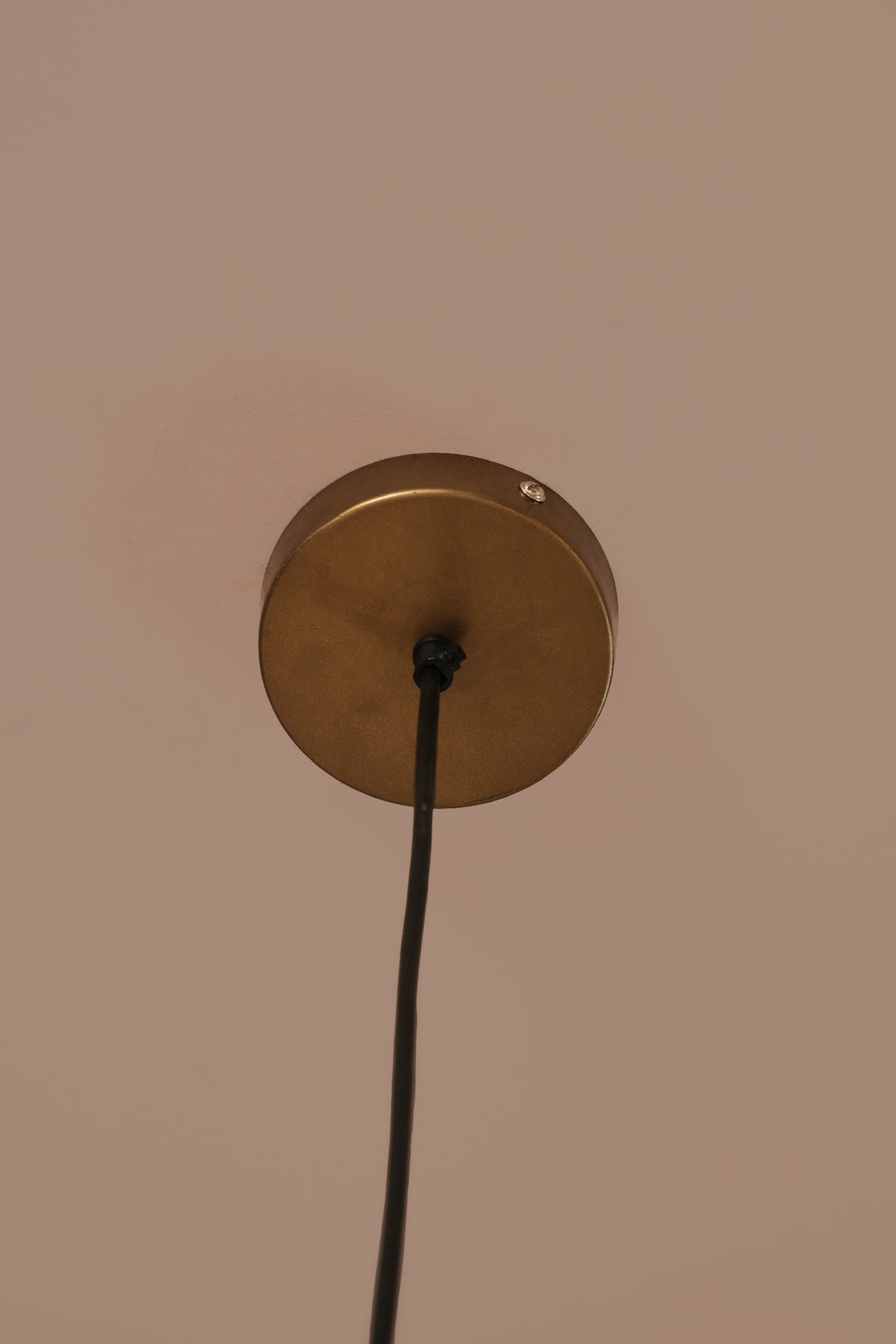 Reverie Single Hanging Lamp