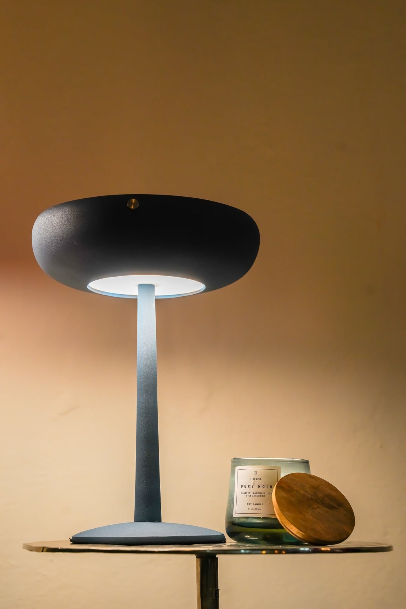 PIN Lamp