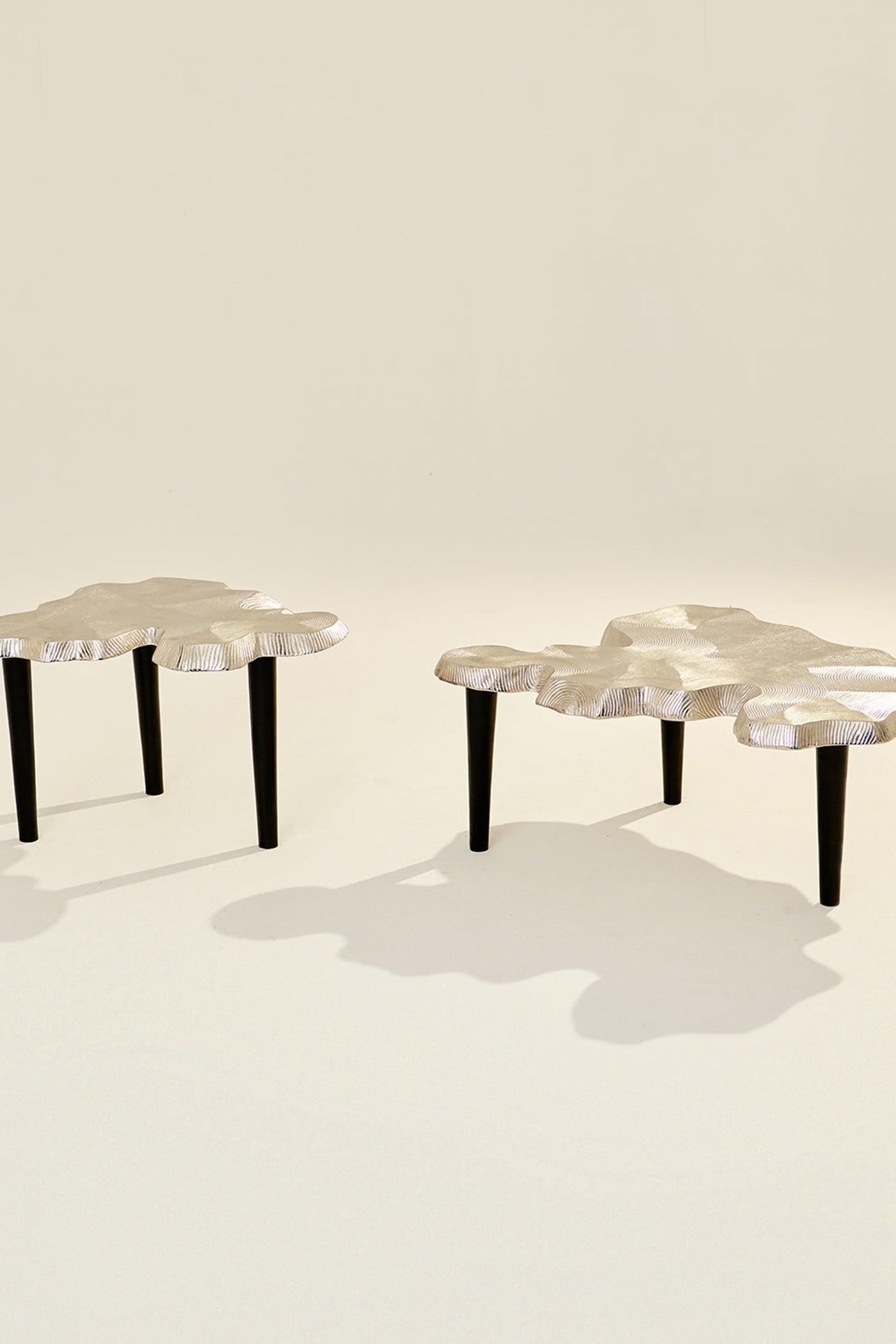 Amorphous Coffee Table - Set of 2