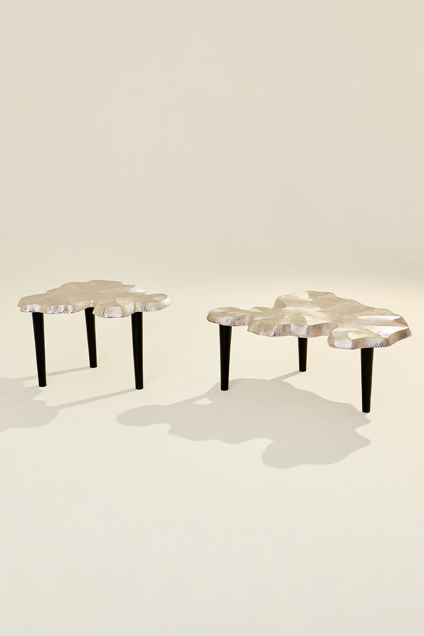 Amorphous Coffee Table - Set of 2