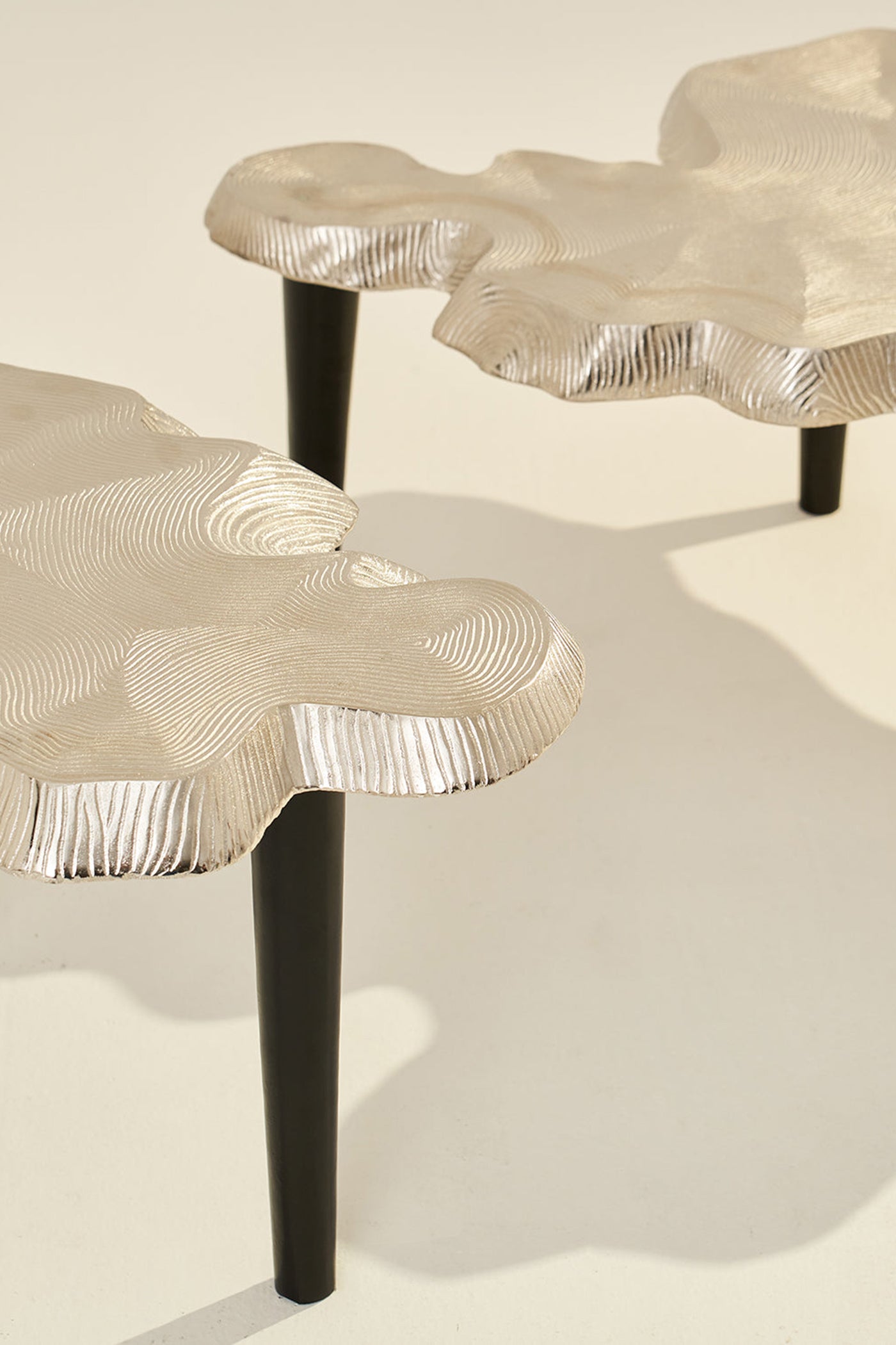 Amorphous Coffee Table - Set of 2