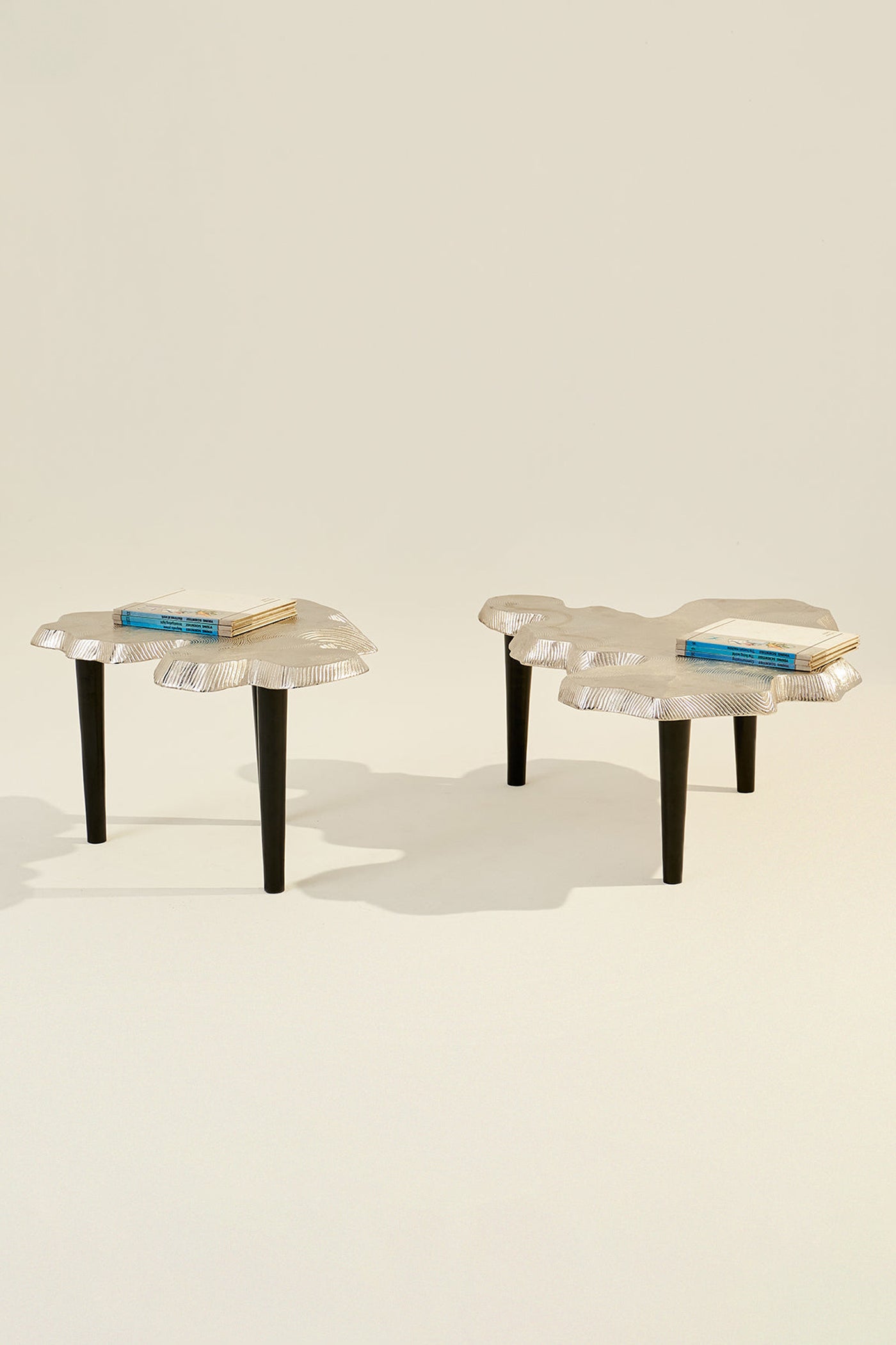 Amorphous Coffee Table - Set of 2