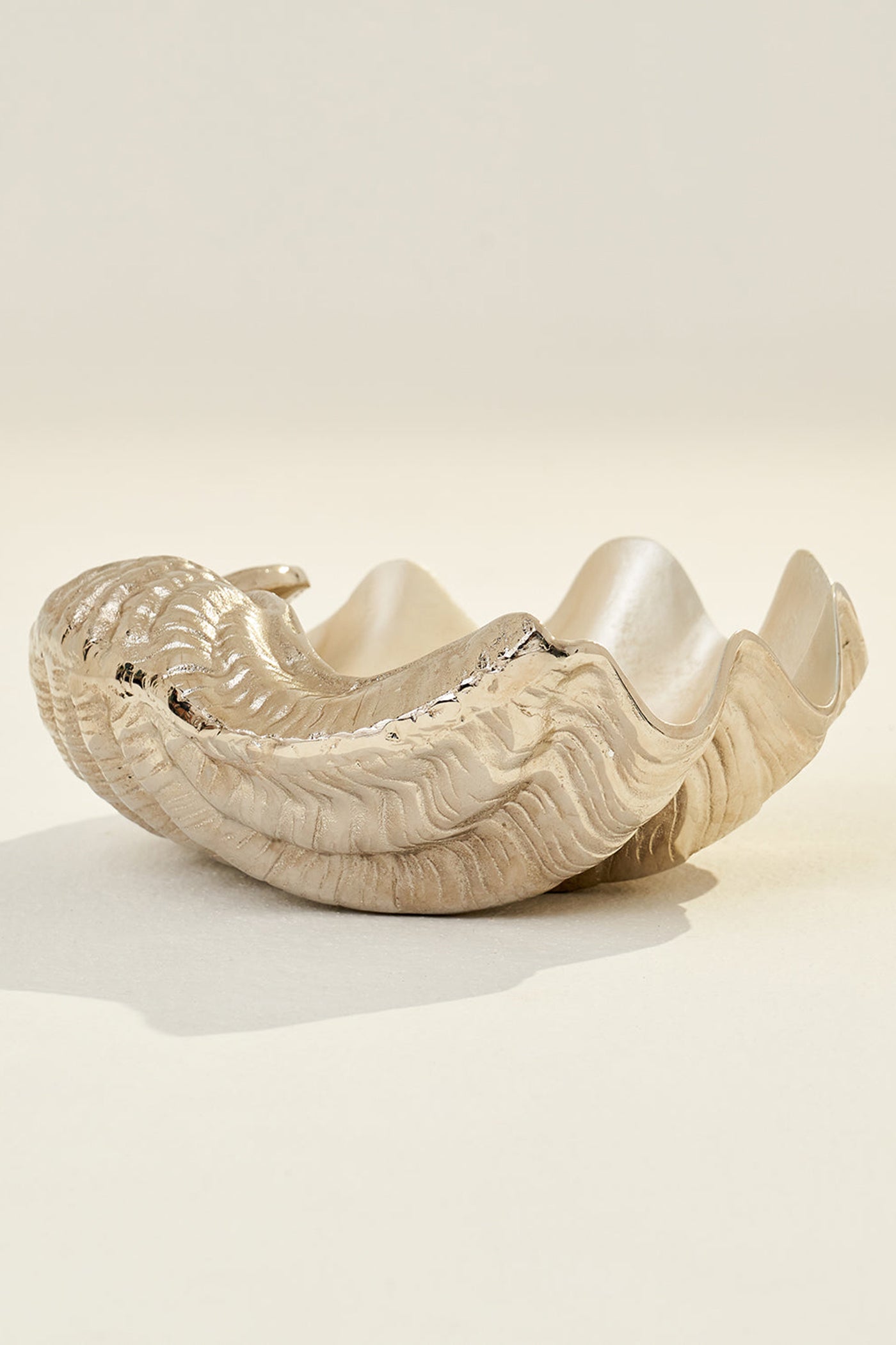 Seashell