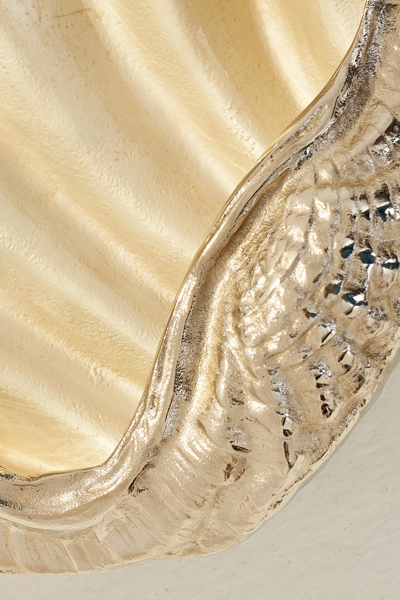 Seashell